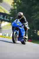 Middle Group Blue Bikes